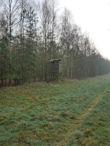 Photo 6x4 old shooting hide - old,