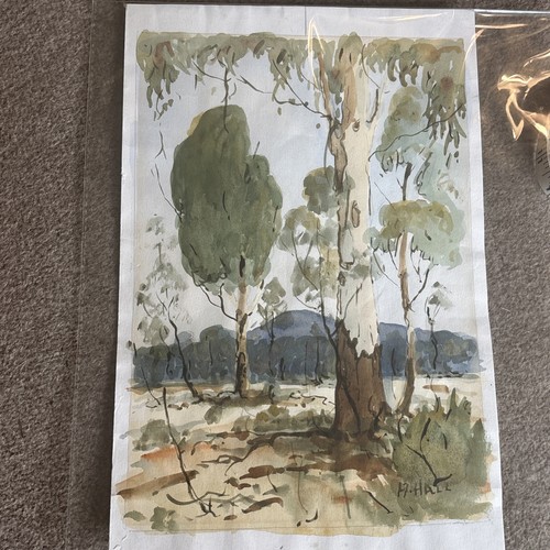 Watercolour trees signed h - watercolour,