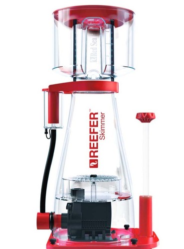 Red sea rsk300 - rsk300, protein