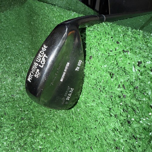 Ram tom watson scoring system - watson,