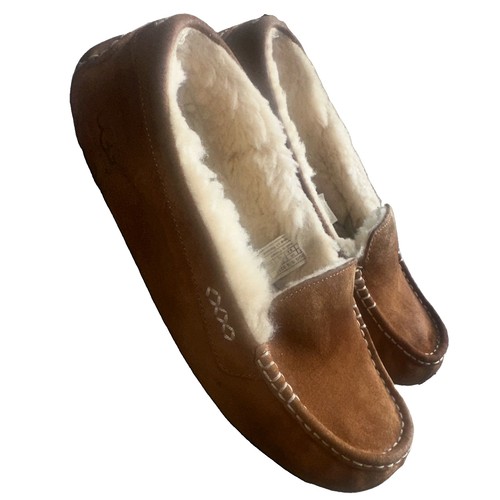 Ugg ansley chestnut - ansley, suede