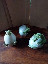 Genesis Creations Carol Lynn