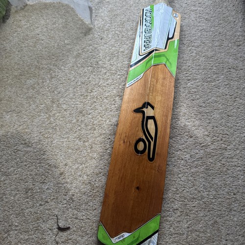 Kookaburra kahuna prodigy - kookaburra,
