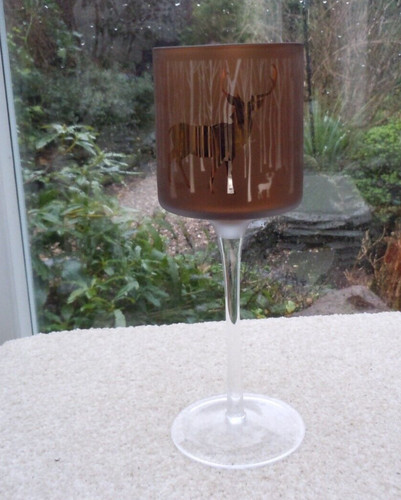 Glass long stem goblet - glass,