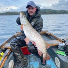 Searigs Natural LAMPREY "BLOOD