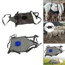 Sheep Fly Net Mesh Bellyband