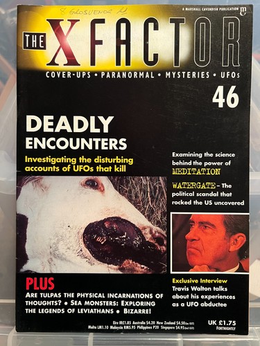 Vintage the factor magazine - vintage,