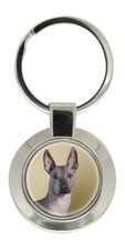 Mexican hairless dog - mexican,