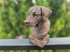 Rhodesian Ridgeback Bust