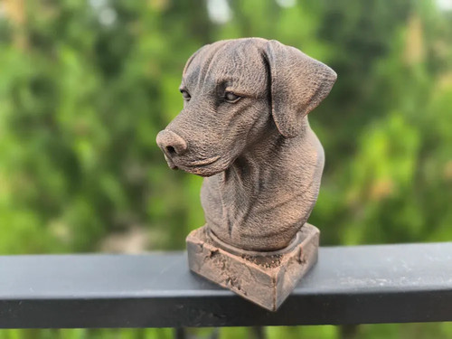 Rhodesian ridgeback bust - rhodesian,