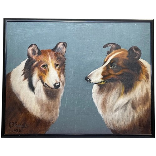 Oil painting portrait scottish - oil,