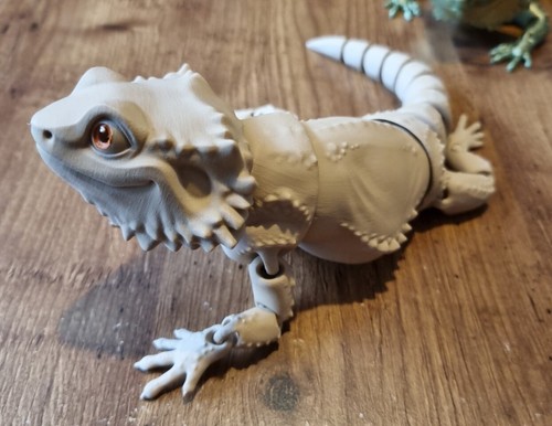 Bearded dragon lizard - bearded, 10"