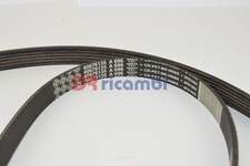 POLY V BELT 6PK1962 ALFA ROMEO