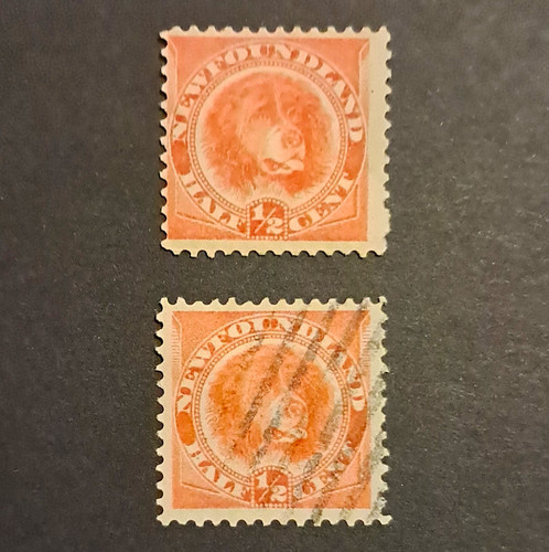 Stamps newfoundland dog 2c - dog, 1/2c