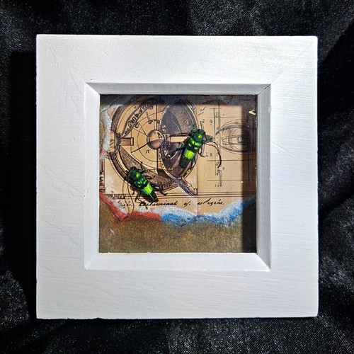 Pair emerald longhorn - of,