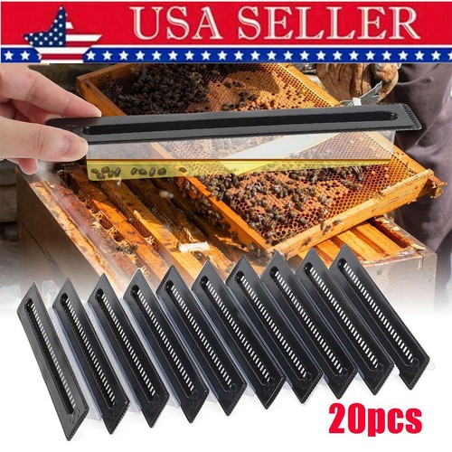 20pcs small hive - 20pcs,