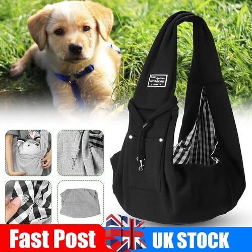 Pet cat puppy - puppy, shoulder