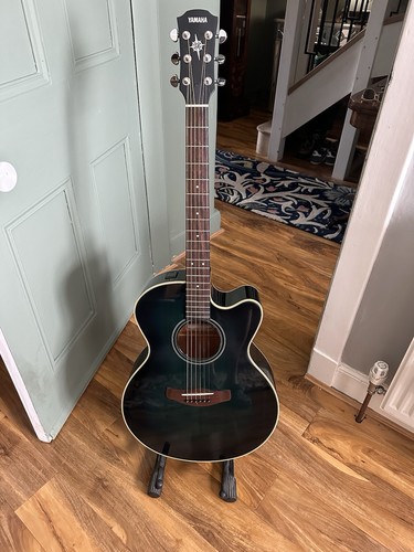 Electric acoustic guitar - electric,