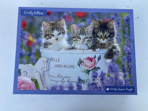 Lovely kittens puzzle - lovely,