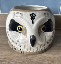 Dunelm Owl Plant Pot Natural History X Brown 3D Head Plant Indoor