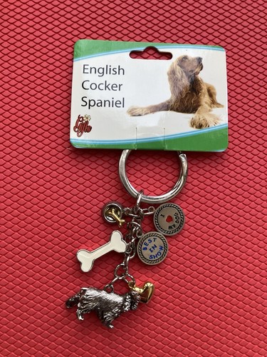 English cocker spaniel dog - cocker,