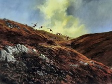 JONATHAN YULE (British)