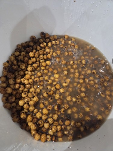 5kg prepared tiger nuts - tiger,