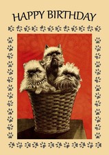 BRUSSELS GRIFFON DOG BIRTHDAY