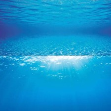 Juwel Poster 2 Blue Water Background Aquarium Fish Tank Backing 60cm 100cm 150cm