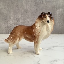 Vintage Brown White Collie