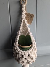 Eco Cotton Macramé Hanging