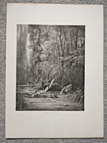 The torrent and - the, river