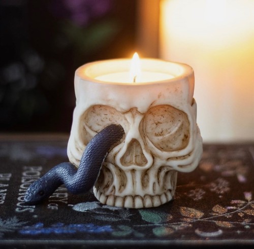 Skull and snake - snake, resin