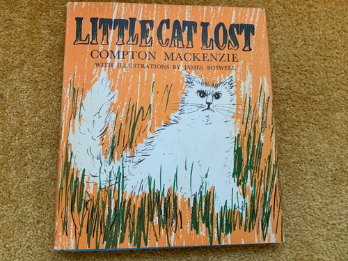 Little cat lost compton - cat,