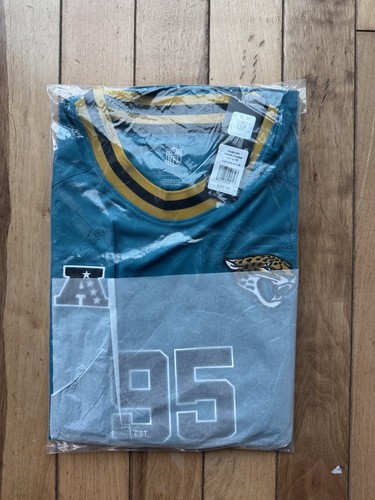 Jacksonville jaguars nfl - jacksonville,