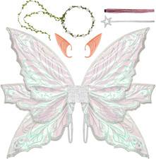 Large Fairy Wings Adult Women