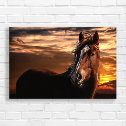 Majestic horse sunset - majestic,