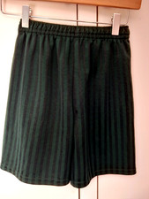 Green School PE Shorts Green