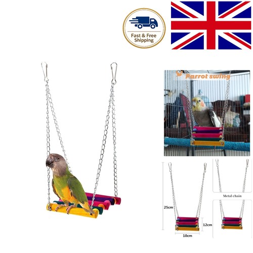 Unique colorful bird perch - colorful,