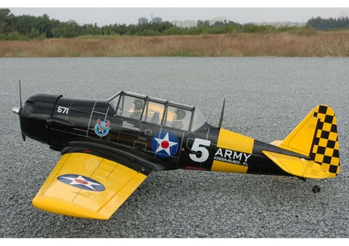 Models size at 6 texan - models, .46