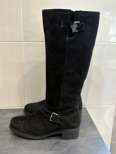 New size bertie - new,