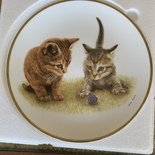 Wedgwood Collectors Plate John