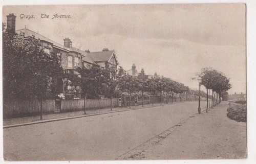 Grays the avenue essex 1905 - the,