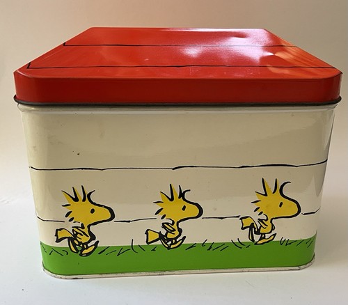 Vintage snoopy dog house - snoopy’s,