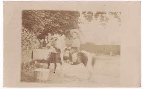 Edwardian boy pony horse - boy,