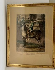 Pair Ridinger Hand-Coloured Equestrian Engravings c1800 Haute École Dressage