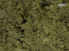 30% SUPER SPIRULINA ALGAE FISH