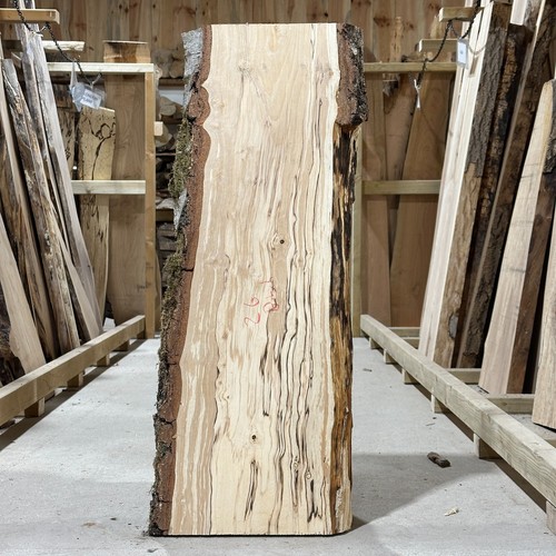 Spalted birch plank board - spalted,