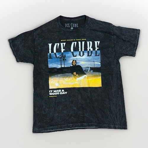 Ice cube was - ice, a