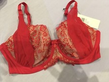 Ultimo Red Bra  Non Padded cup